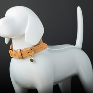 Designer Pet Toy Set