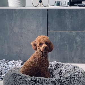 High-End Pet Blanket