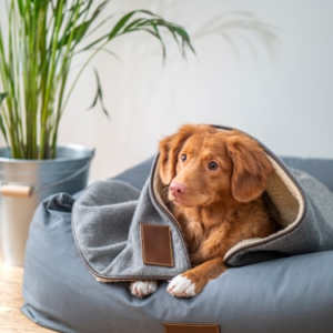 Luxury Pet Sofa